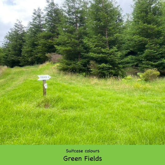 GETTING LOST - GREEN FIELDS SUITCASE