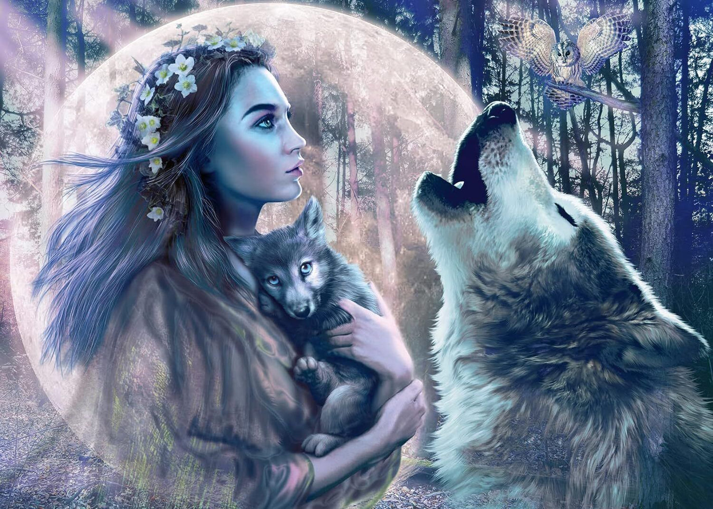JIGSAW RAVENSBURGER - MOONLIGHT MAGIC 1000PCS