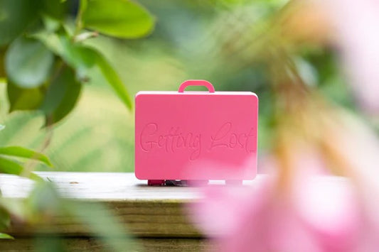 GETTING LOST - PINK SPRING BLOOMS SUITCASE