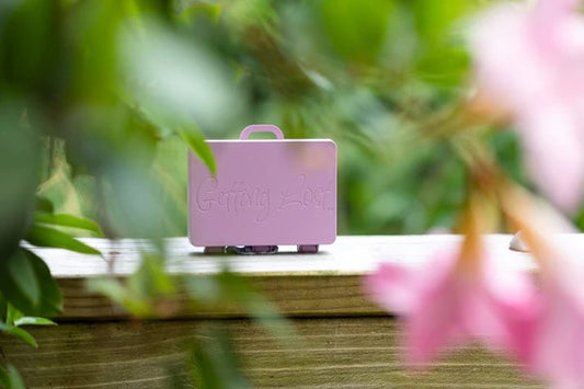 GETTING LOST - LILAC WINTER SUNRISE SUITCASE
