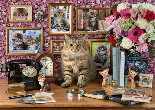 JIGSAW RAVENSBURGER - MY CUTE KITTY 1000PCS