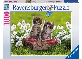 JIGSAW RAVENSBURGER - PICNIC IN THE MEADOW 1000PC